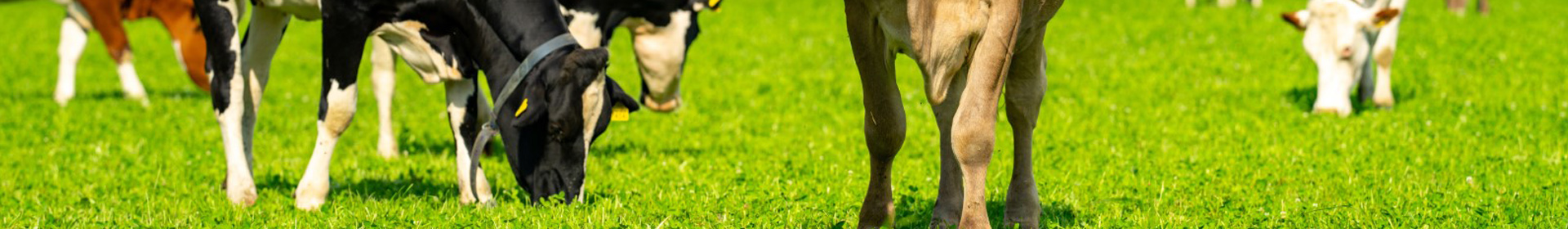 БУНАМИС Частное производственное унитарное предприятие